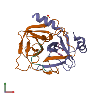 PDB entry 1ggd coloured by chain, front view.