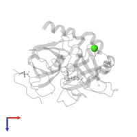 CALCIUM ION in PDB entry 1ghx, assembly 1, top view.