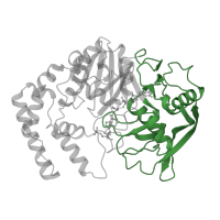 The deposited structure of PDB entry 1gim contains 1 copy of CATH domain 3.90.170.10 (Adenylosuccinate Synthetase; Chain A, domain 3) in Adenylosuccinate synthetase. Showing 1 copy in chain A.