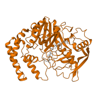 The deposited structure of PDB entry 1gim contains 1 copy of SCOP domain 52652 (Nitrogenase iron protein-like) in Adenylosuccinate synthetase. Showing 1 copy in chain A.