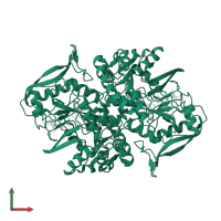 Adenylosuccinate synthetase in PDB entry 1gim, assembly 1, front view.