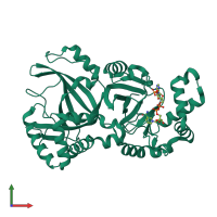 PDB entry 1gir coloured by chain, front view.