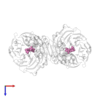 HEME D in PDB entry 1gjq, assembly 1, top view.