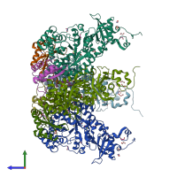 PDB entry 1gk8 coloured by chain, side view.