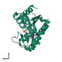 PDB entry 1gky coloured by chain, side view.