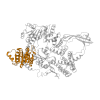 The deposited structure of PDB entry 1gl9 contains 2 copies of Pfam domain PF00270 (DEAD/DEAH box helicase) in Reverse gyrase. Showing 1 copy in chain A [auth B].