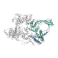 The deposited structure of PDB entry 1gl9 contains 4 copies of Pfam domain PF01131 (DNA topoisomerase) in Reverse gyrase. Showing 2 copies in chain A [auth B].