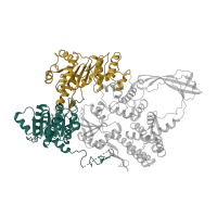 The deposited structure of PDB entry 1gl9 contains 4 copies of SCOP domain 69496 (Helicase-like 