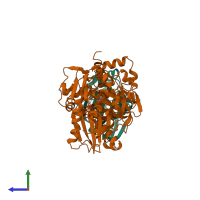 PDB entry 1glb coloured by chain, side view.