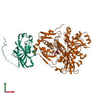 PDB entry 1glc coloured by chain, front view.