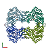 PDB entry 1glf coloured by chain, front view.