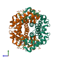 Hetero tetrameric assembly 1 of PDB entry 1gli coloured by chemically distinct molecules, side view.