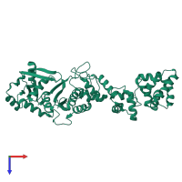 PDB entry 1gln coloured by chain, top view.