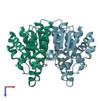 PDB entry 1glp coloured by chain, top view.
