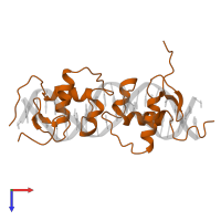Glucocorticoid receptor in PDB entry 1glu, assembly 1, top view.
