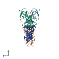 PDB entry 1gmw coloured by chain, side view.