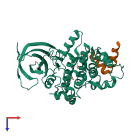 Hetero dimeric assembly 1 of PDB entry 1gng coloured by chemically distinct molecules, top view.