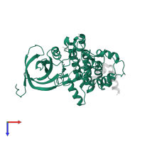 Glycogen synthase kinase-3 beta in PDB entry 1gng, assembly 2, top view.