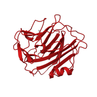The deposited structure of PDB entry 1gnh contains 10 copies of CATH domain 2.60.120.200 (Jelly Rolls) in C-reactive protein. Showing 1 copy in chain A.