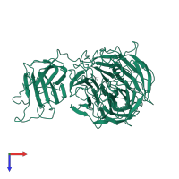 Galactose oxidase in PDB entry 1gof, assembly 1, top view.