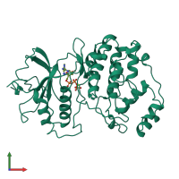 PDB entry 1gol coloured by chain, front view.