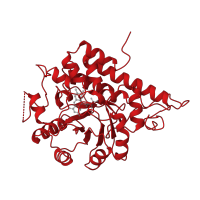 The deposited structure of PDB entry 1gox contains 1 copy of CATH domain 3.20.20.70 (TIM Barrel) in Glycolate oxidase. Showing 1 copy in chain A.