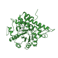 The deposited structure of PDB entry 1gox contains 1 copy of SCOP domain 51396 (FMN-linked oxidoreductases) in Glycolate oxidase. Showing 1 copy in chain A.