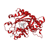 The deposited structure of PDB entry 1gp6 contains 1 copy of CATH domain 2.60.120.330 (Jelly Rolls) in Leucoanthocyanidin dioxygenase. Showing 1 copy in chain A.