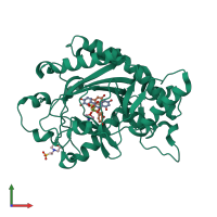 PDB entry 1gp6 coloured by chain, front view.