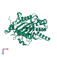 Leucoanthocyanidin dioxygenase in PDB entry 1gp6, assembly 1, top view.