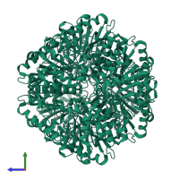 Homo hexameric assembly 1 of PDB entry 1gq6 coloured by chemically distinct molecules, side view.