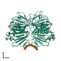 Homo dimeric assembly 1 of PDB entry 1gqg coloured by chemically distinct molecules, front view.