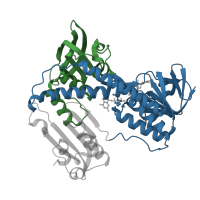 The deposited structure of PDB entry 1grg contains 2 copies of CATH domain 3.50.50.60 (FAD/NAD(P)-binding domain) in Glutathione reductase, mitochondrial. Showing 2 copies in chain A.