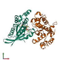 PDB entry 1grn coloured by chain, front view.