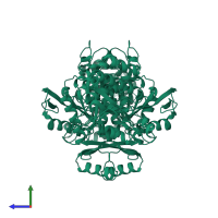 Isocitrate dehydrogenase [NADP] in PDB entry 1gro, assembly 1, side view.