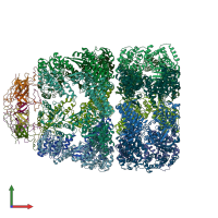 PDB entry 1gru coloured by chain, front view.
