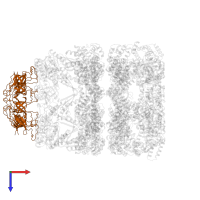 Co-chaperonin GroES in PDB entry 1gru, assembly 1, top view.