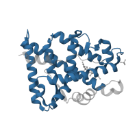 The deposited structure of PDB entry 1gs4 contains 1 copy of Pfam domain PF00104 (Ligand-binding domain of nuclear hormone receptor) in Androgen receptor. Showing 1 copy in chain A.