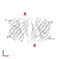 Modified residue PCA in PDB entry 1gsl, assembly 1, front view.