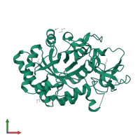 Chitotriosidase-1 in PDB entry 1guv, assembly 1, front view.