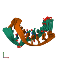 PDB entry 1gv6 coloured by chain, ensemble of 20 models, front view.