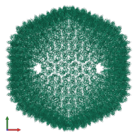 Major capsid protein P3 in PDB entry 1gw7, assembly 1, front view.