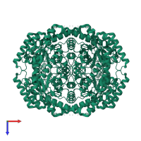 Xylose isomerase in PDB entry 1gw9, assembly 1, top view.