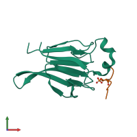 Hetero dimeric assembly 4 of PDB entry 1gxc coloured by chemically distinct molecules, front view.