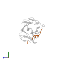 SYNTHETIC PHOSPHOPEPTIDE in PDB entry 1gxc, assembly 3, side view.