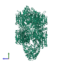 Cytosol aminopeptidase in PDB entry 1gyt, assembly 1, side view.