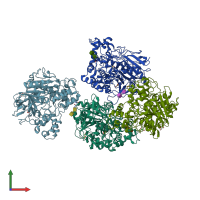 PDB entry 1gz7 coloured by chain, front view.