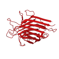 The deposited structure of PDB entry 1gz9 contains 1 copy of CATH domain 2.60.120.200 (Jelly Rolls) in Lectin. Showing 1 copy in chain A.