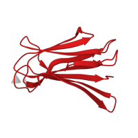 The deposited structure of PDB entry 1gzt contains 4 copies of CATH domain 2.60.120.400 (Jelly Rolls) in Calcium-mediated lectin domain-containing protein. Showing 1 copy in chain A.