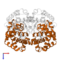 Hemoglobin subunit beta in PDB entry 1gzx, assembly 1, top view.